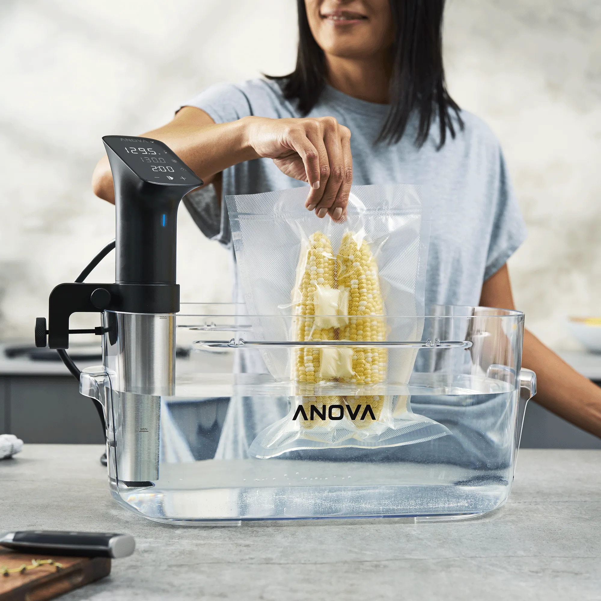 Anova Precision™ 16L Container
